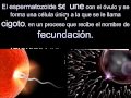 los caracteres sexuales de mujeres y hombres