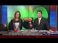 wluk
