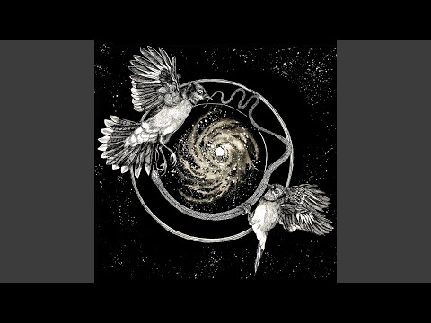Ascend Video