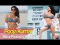 Vishwaroopam 2 - Pooja Kumar - Smoking Hot - Bikini Photos In Beach