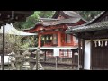日根神社 大井関公園と桜