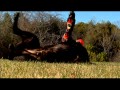 Watch Stem Cell Therapy for your Pet Part 1 Video