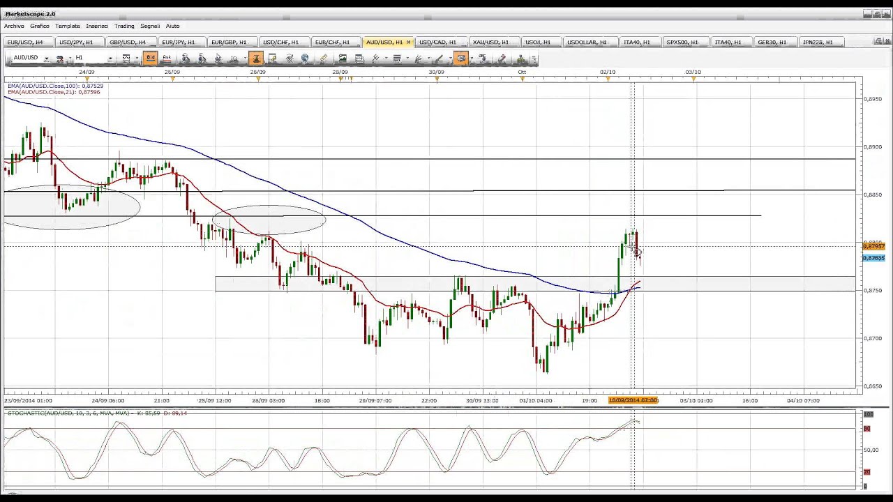 Matteo paganini forex