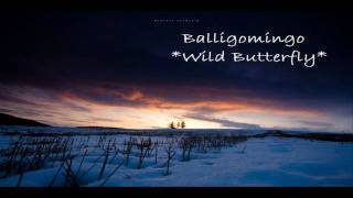 Watch Balligomingo Wild Butterfly video