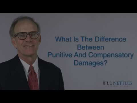 What is the Difference Between  Compensatory and Punitive Damages?