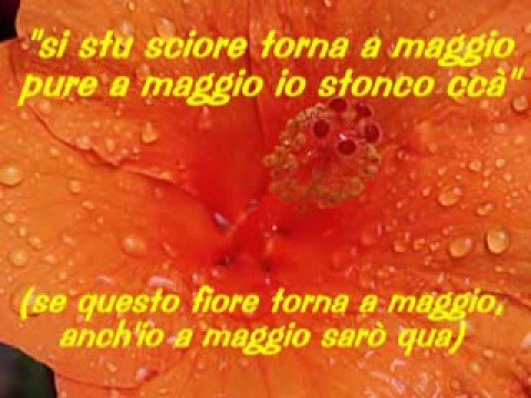 Franco Battiato- Era De Maggio
