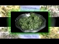 Macka B - Land Of Sensi HD - Marijuana is not just for smoking