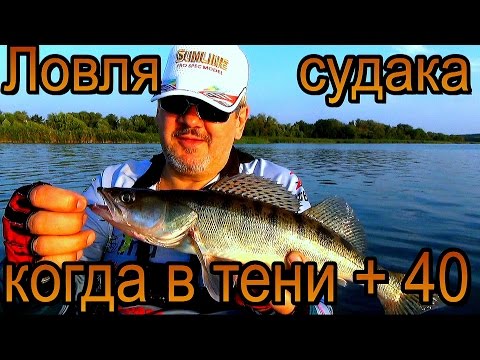 судак джигом с лодки судак джигом с лодки