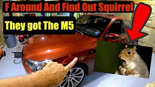 My BMW E60 M5 Is Broken Again *Chewed Up And Destroyed*
