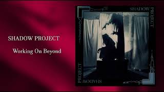 Watch Shadow Project Working On Beyond video