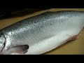 How To Fillet a Whole Salmon with Master Sushi Chef Hiro Terada