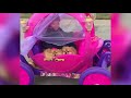 Приколы с собаками - Смешные животное 2019 Июль (Epic Funny Dogs)