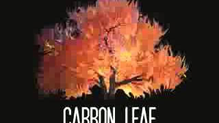 Watch Carbon Leaf Cinnamindy video