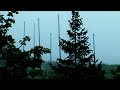 Solar Fields - Breeze