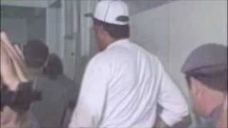 3qbR_h8rG6w Video Image
