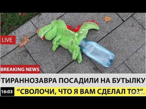 Уселась мандой на бутылку