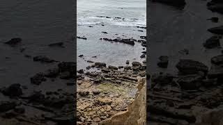 Praia Dos Arrifes, Portugal