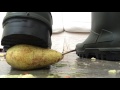 Dunlop Thermo+ rubber boots having some fun on a boring Sunday #3 Dunlop Thermo+ rubber boots having some fun on a boring Sunday #2