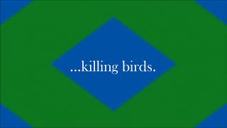 Watch Chris Cornell Killing Birds video