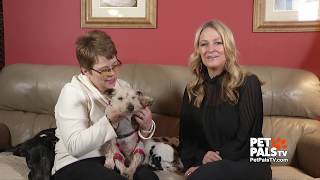 Senior dogs bring joy to our lives