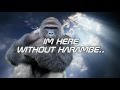 "Here Without Harambe" Tribute (COVER)