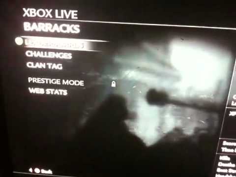 WAW 11th prestige lobby Black Ops 11th Prestige Badge. WAW 11th prestige lobby