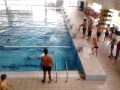 2015-06-29_Férias Desportivas - Verão 2015_Piscina de Pinhal Novo 2015-06-29_Férias Desportivas - Verão 2015_Piscina de Pinhal Novo