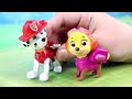 Poszukiwanie Marshalla Psi Patrol Bajki Dla Dzieci Poszukiwanie Marshalla Psi Patrol Bajki Dla Dzieci