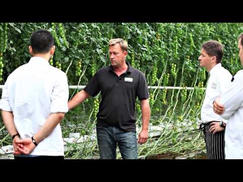 Fairmont Pacific Rim — ORU Cuisine – Village Farms