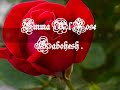 Gabohesh - Emma Al Rose -