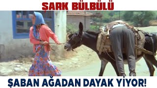Şark Bülbülü Türk Filmi | Şaban Zülfo Ağadan Dayak Yiyor!