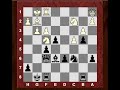 Sicilian Sveshnikov : Brief commentary #52 : Hikaru Nakamura vs Boris Gelfand - Tal Memorial 2013