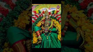 Meenakshi Thikvijayam Victory Parak. மனடச தகவஜயம வறற பரக.. New Video