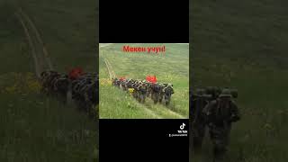 Кыргыз Жигиттери
