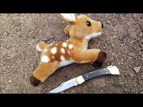 Catch and Cook Deer Fawn - How to Trap Deer with primitive snares