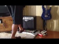 Peavey