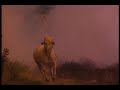 Robbie Robertson Showdown At Big Sky (Official)