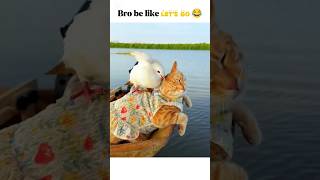 A Day In The Life Of Cute Kittens