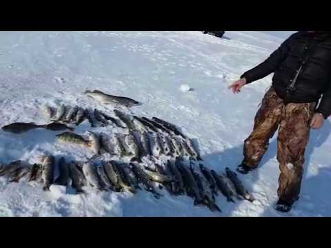 в казахстан на машине на рыбалку в казахстан на машине на рыбалку