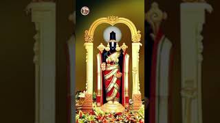 Lord Venkateswara Swamysampath Channel 94
