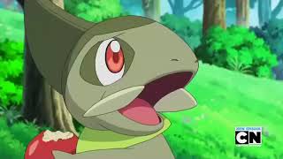 Ash And Cilan Laugh At Iris Goofy Expression