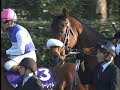 2008年 有馬記念 ダイワスカーレット圧勝