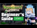 ULTIMATE Beginner's Guide to Wynncraft