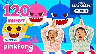 Танец С Акулёнком И Другие Песенки | №1 Baby Shark Dance На Русском | Пинкфонг Песни Для Детей