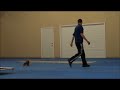 Brutus (Yorkie) Boot Camp Dog Training Video