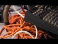 LUCKY DRAGONS Music for No Reason
