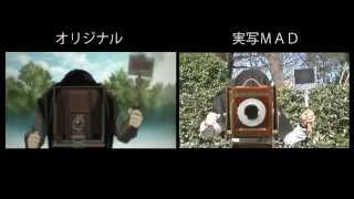 BACCANO! - LIVE ACTION -?Comparison