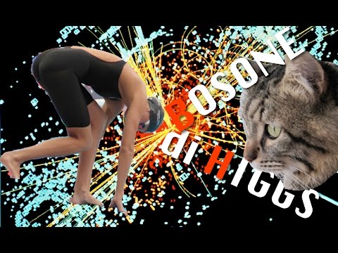 Il Bosone di Higgs spiegato con un gatto e una nuotatrice ungherese - MO#08 - CURIUSS