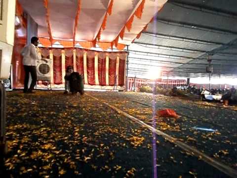 varan varan poochandi dance