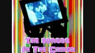 Watch Bongos In The Congo video